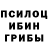 Псилоцибиновые грибы Magic Shrooms R kabul