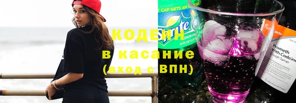 дмт Пересвет