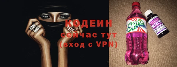 дмт Пересвет