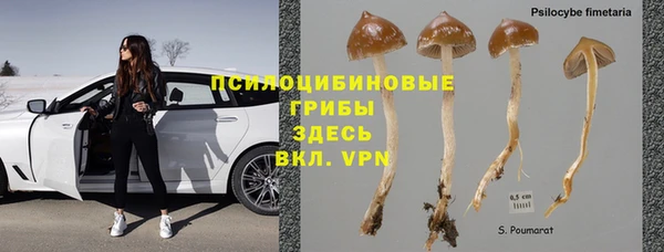 СК Покачи
