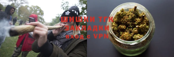 дмт Пересвет