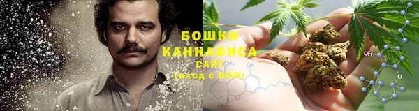 СК Покачи