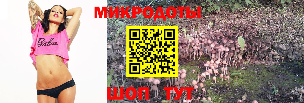 Псилоцибиновые грибы Magic Shrooms Североуральск